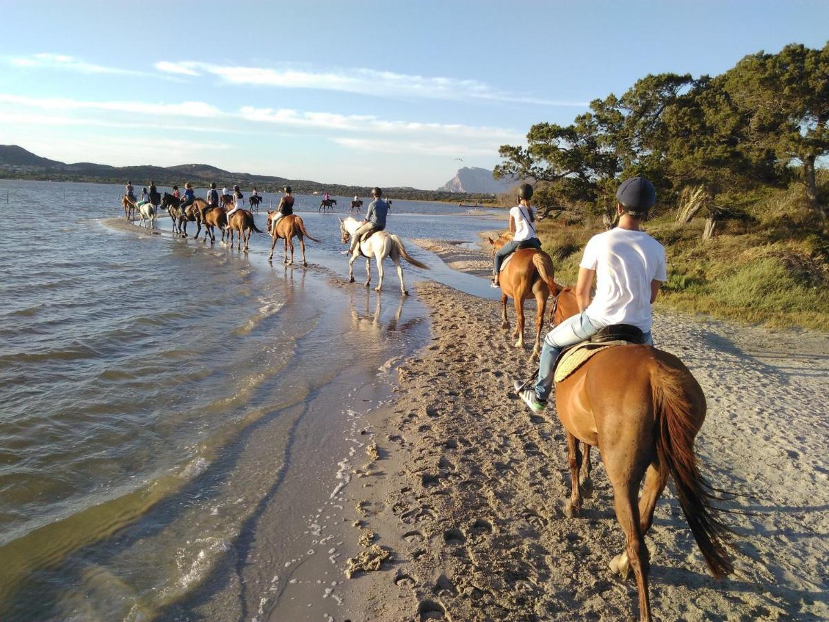 Appartamento Sette Posti Vicino Al Centro Di San Teodoro 圣特奥多罗 外观 照片